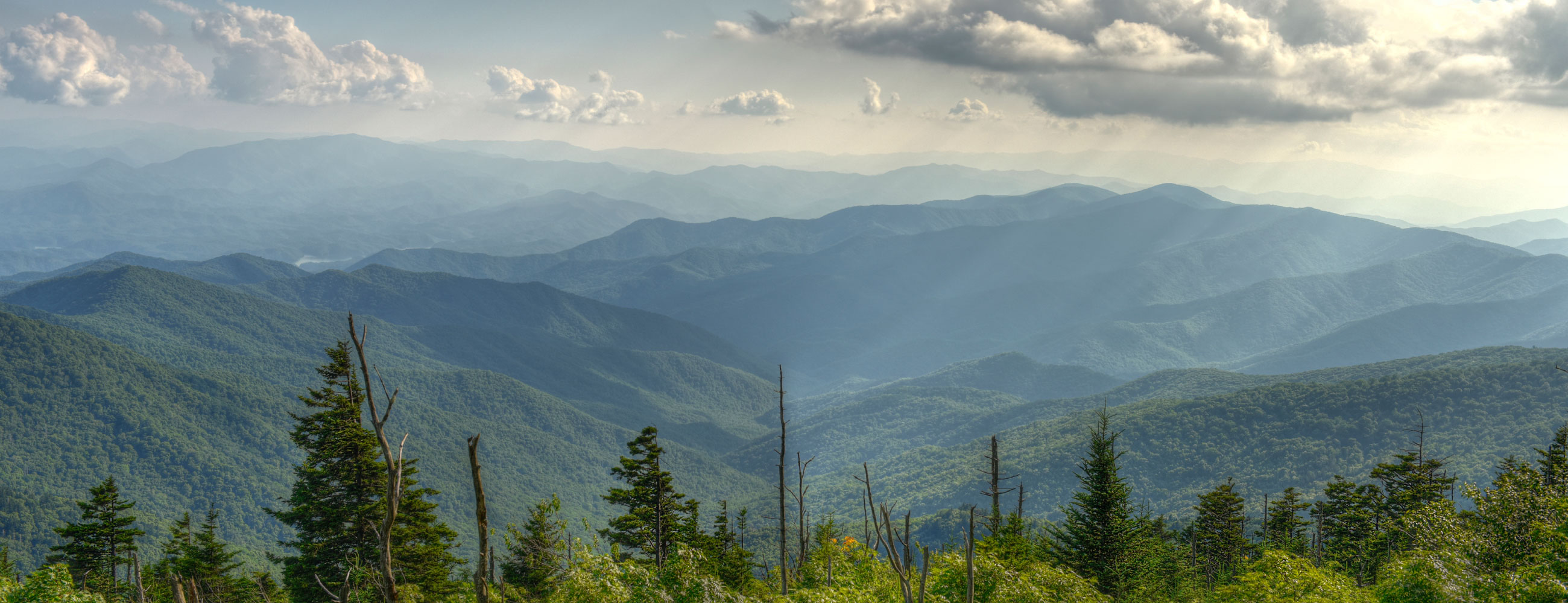 金澤京太郎 金澤京太郎